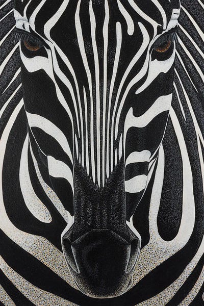 Zebras: Zebra by Teal Buehler
