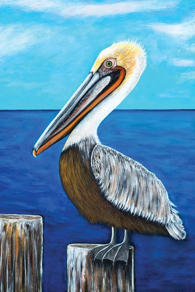 Brown Pelican by Teal Buehler framed canvas print