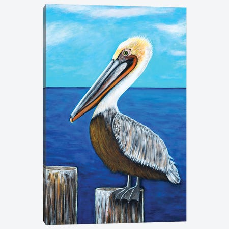 Brown Pelican Canvas Print #TBH117} by Teal Buehler Canvas Wall Art