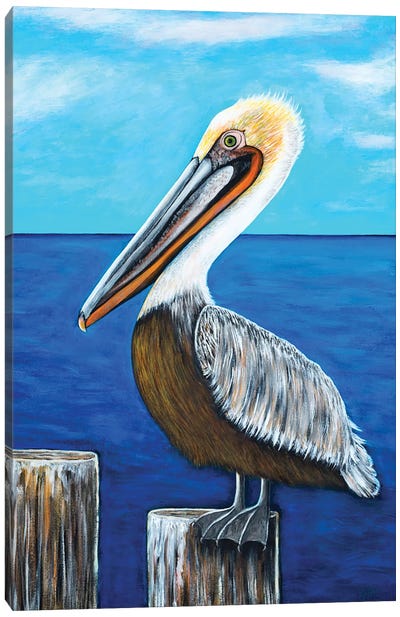Brown Pelican Canvas Art Print - Teal Buehler