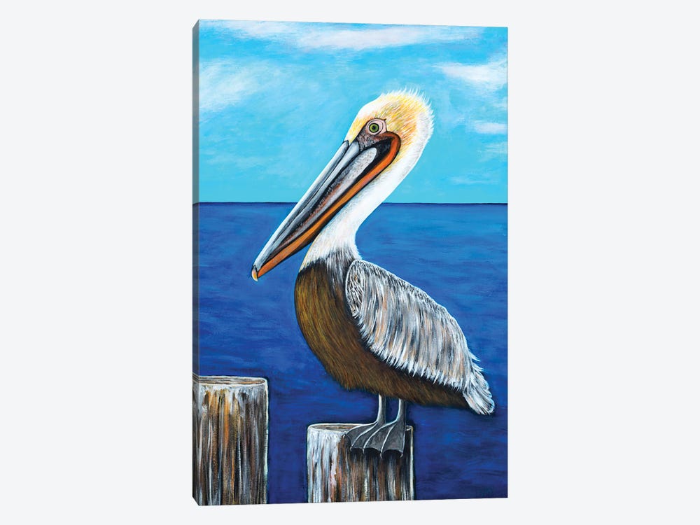 Brown Pelican by Teal Buehler 1-piece Canvas Art Print
