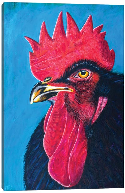 Black Rooster Canvas Art Print - Teal Buehler