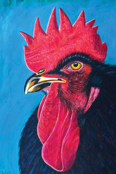 Teal Buehler: Black Rooster by Teal Buehler