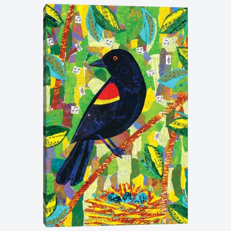 Redwing Blackbird Canvas Print #TBH130} by Teal Buehler Canvas Print