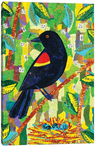 Redwing Blackbird Canvas Art Print - Teal Buehler