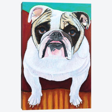 Bulldog Canvas Print #TBH17} by Teal Buehler Canvas Wall Art