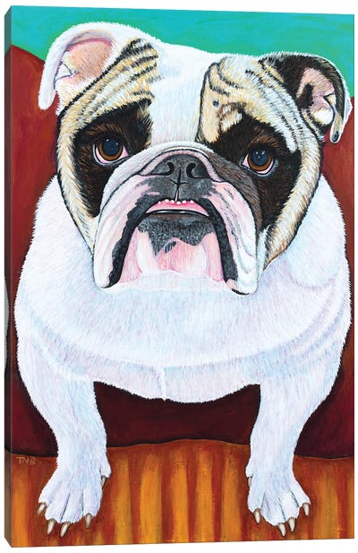 Bulldog Canvas Art Print - Teal Buehler
