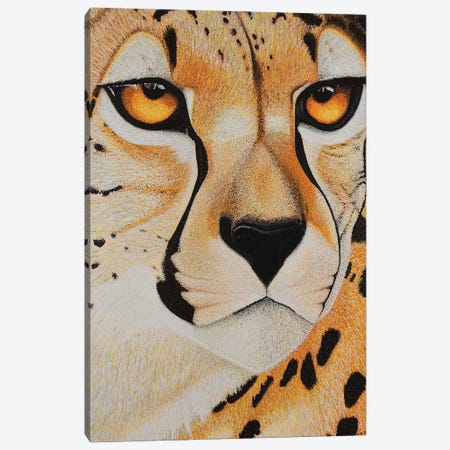 Cheetah Canvas Print #TBH19} by Teal Buehler Canvas Print