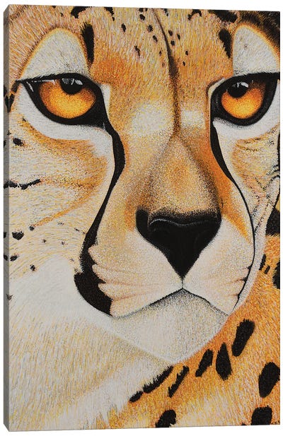 Cheetah Canvas Art Print - Teal Buehler