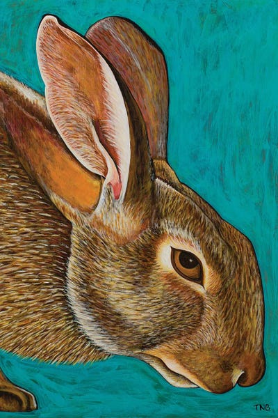 Cottontail by Teal Buehler canvas print