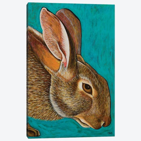 Cottontail Canvas Print #TBH22} by Teal Buehler Canvas Wall Art