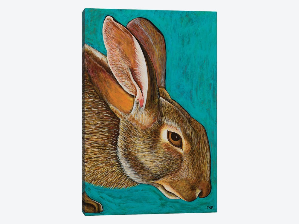 Cottontail by Teal Buehler 1-piece Canvas Print