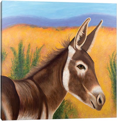 Desert Burro Canvas Art Print - Teal Buehler