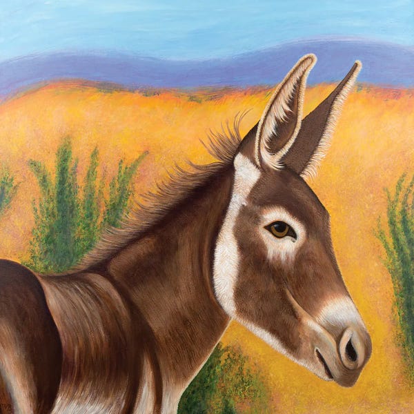 Donkeys: Desert Burro by Teal Buehler