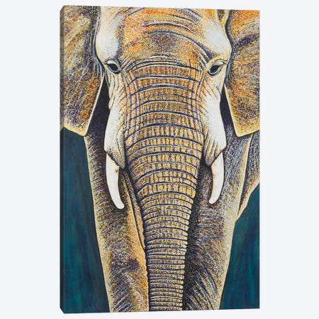 African Elephant Canvas Print #TBH3} by Teal Buehler Canvas Print