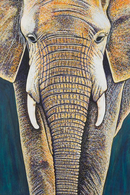 African Elephant by Teal Buehler wall art