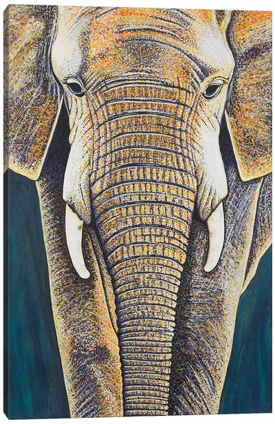 African Elephant Canvas Art Print - Teal Buehler