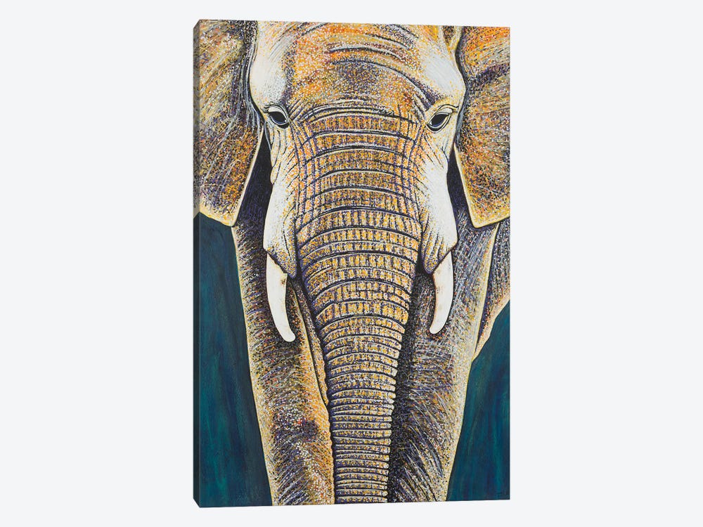 African Elephant by Teal Buehler 1-piece Canvas Print