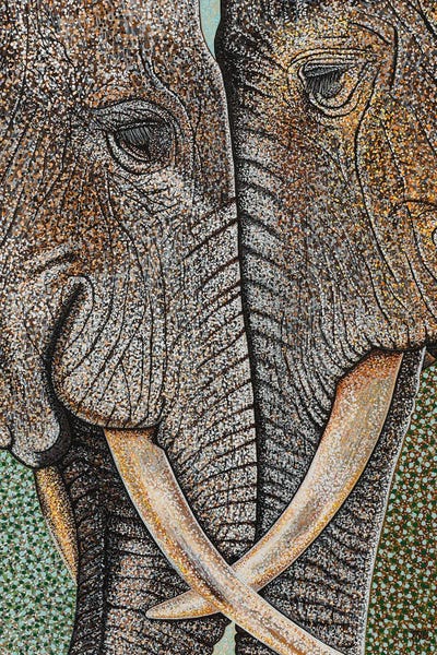 Teal Buehler: Elephants Never Forget by Teal Buehler