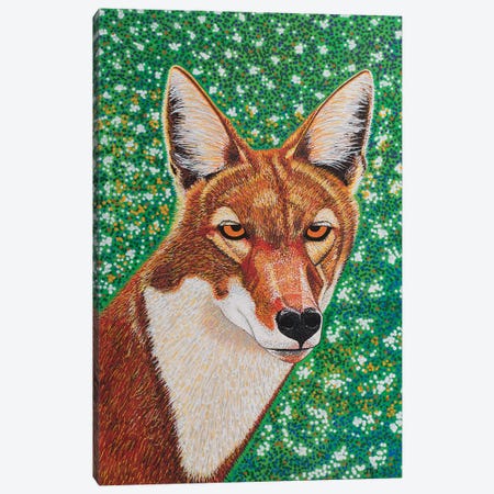 Ethiopian Wolf Canvas Print #TBH42} by Teal Buehler Canvas Wall Art