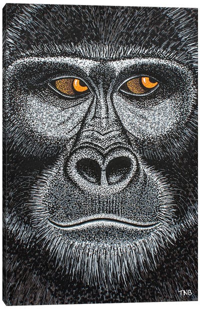 Gorilla Canvas Art Print - Teal Buehler