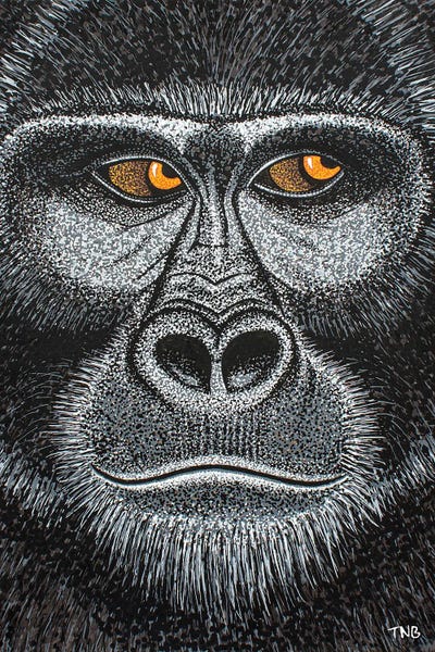 Gorillas: Gorilla by Teal Buehler