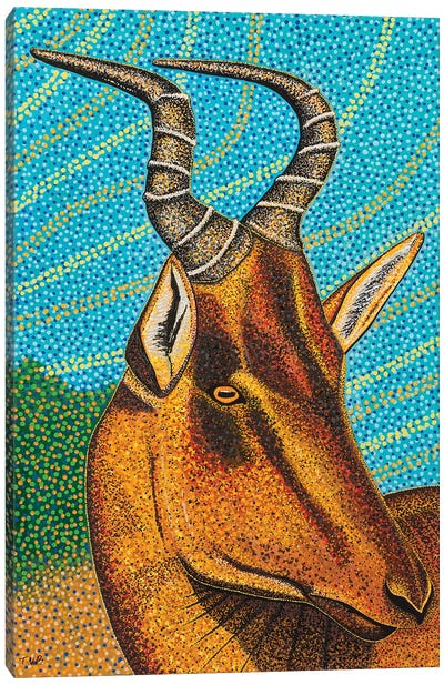 Hartebeest Canvas Art Print - Teal Buehler
