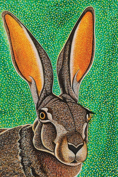 Jackrabbit by Teal Buehler acrylic art print