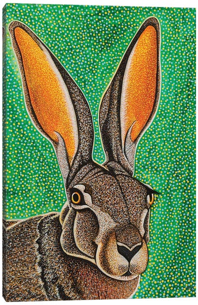 Jackrabbit Canvas Art Print - Teal Buehler