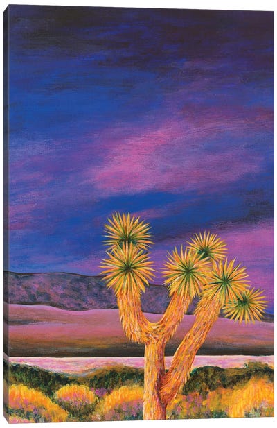 Joshua Tree At Dusk Canvas Art Print - Teal Buehler