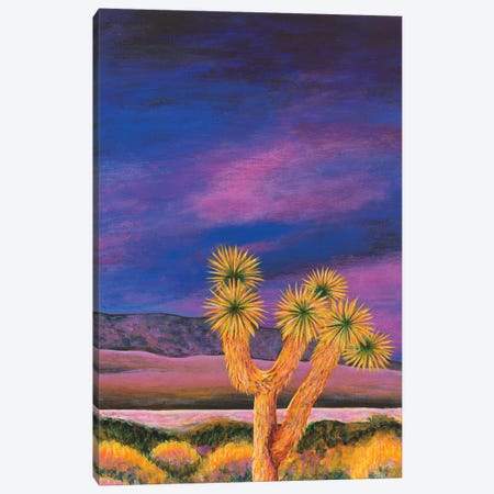 Joshua Tree At Dusk Canvas Print #TBH58} by Teal Buehler Canvas Print