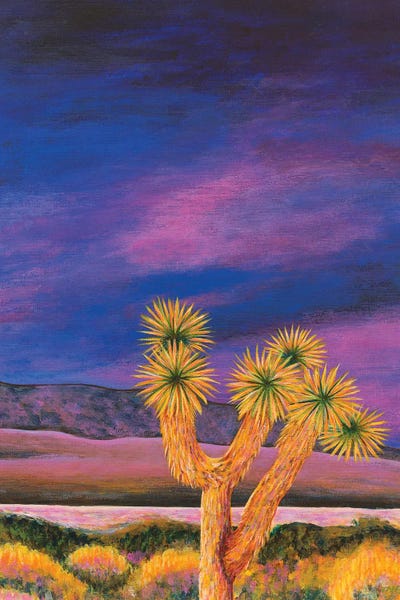 Teal Buehler: Joshua Tree At Dusk by Teal Buehler