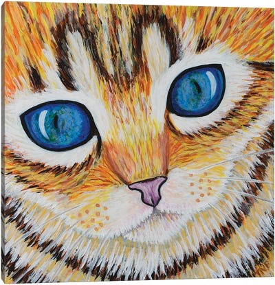 Kitten Close Up Canvas Art Print - Teal Buehler