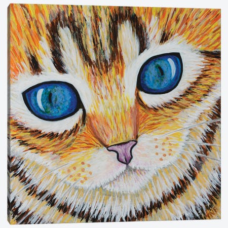 Kitten Close Up Canvas Print #TBH61} by Teal Buehler Canvas Art