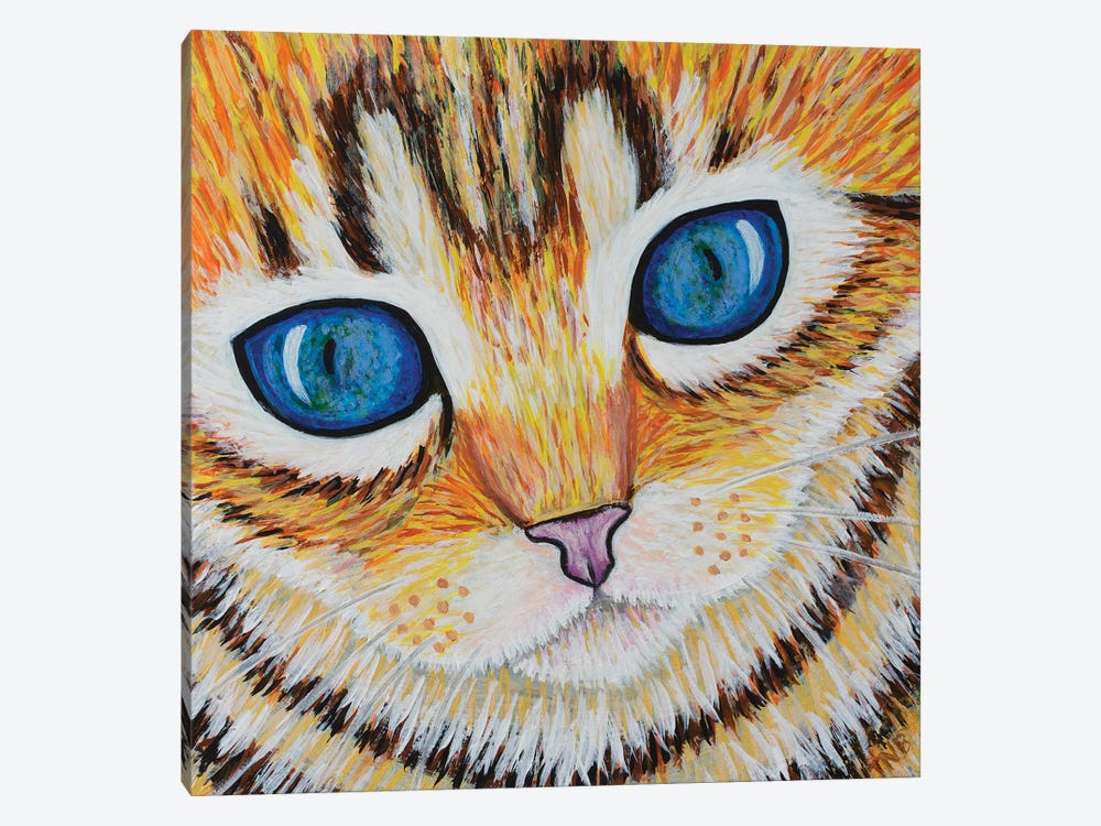 Kitten Close Up by Teal Buehler 1-piece Canvas Artwork