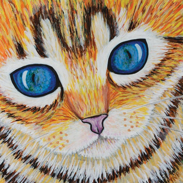 Teal Buehler: Kitten Close Up by Teal Buehler