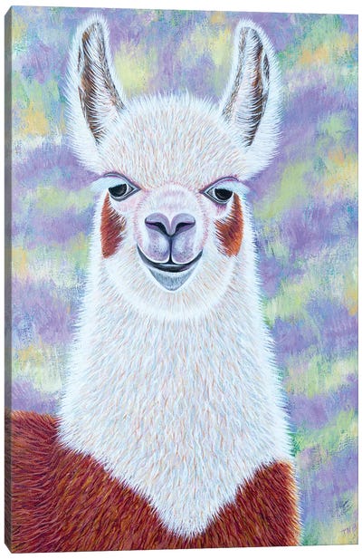 Lavender Llama Canvas Art Print - Teal Buehler