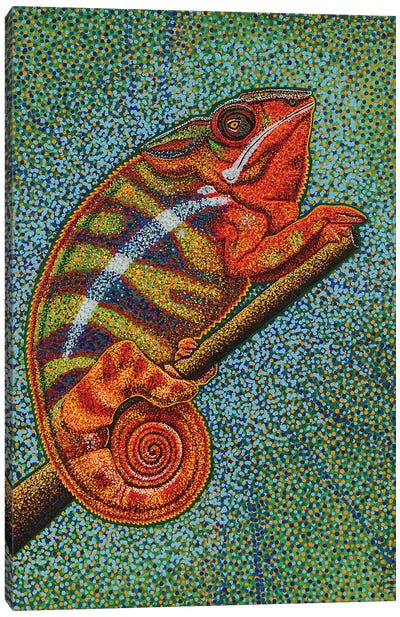 Madagascar Chameleon Canvas Art Print - Teal Buehler