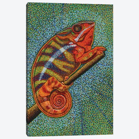 Madagascar Chameleon Canvas Print #TBH65} by Teal Buehler Canvas Print