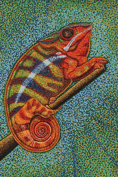 Chameleons: Madagascar Chameleon by Teal Buehler