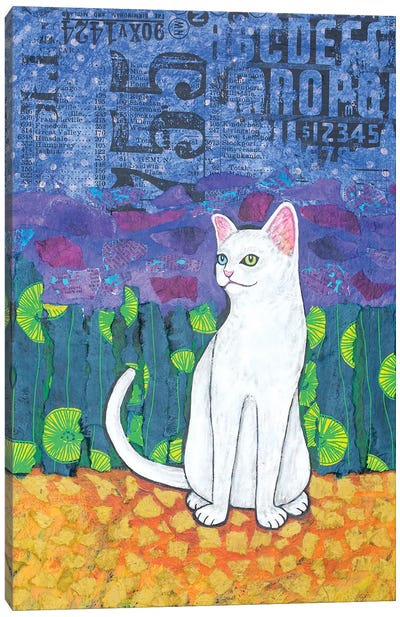 Odd Eyed White Cat Canvas Art Print - Teal Buehler