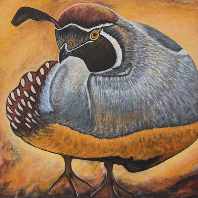 Quail by Teal Buehler acrylic art print