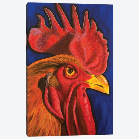 Red Rooster Canvas Print #TBH85} by Teal Buehler Art Print