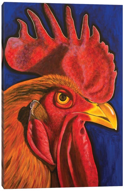 Red Rooster Canvas Art Print - Teal Buehler