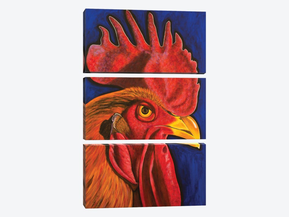 Red Rooster by Teal Buehler 3-piece Canvas Artwork
