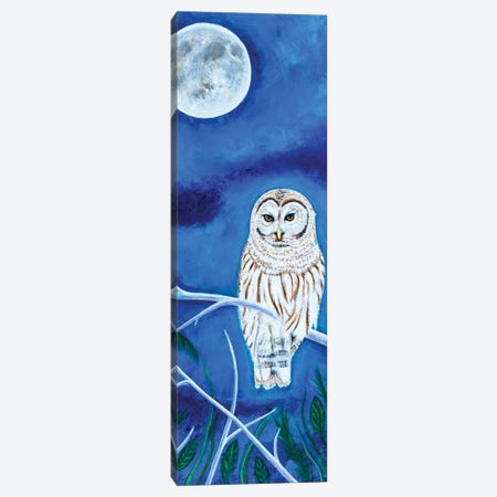 Barred Owl Canvas Print #TBH8} by Teal Buehler Canvas Print