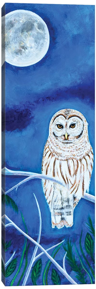 Barred Owl Canvas Art Print - Teal Buehler