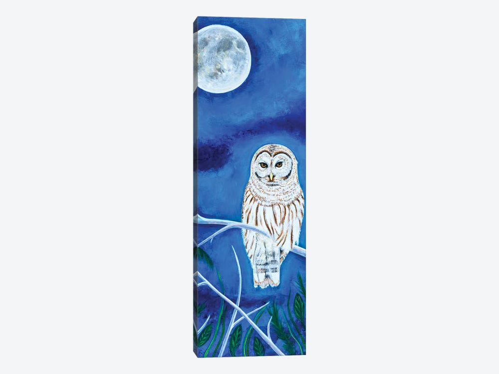 Barred Owl by Teal Buehler 1-piece Canvas Wall Art