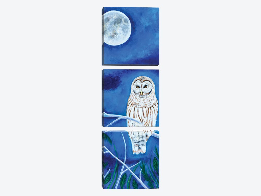 Barred Owl by Teal Buehler 3-piece Canvas Art