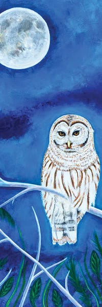 Teal Buehler: Barred Owl by Teal Buehler
